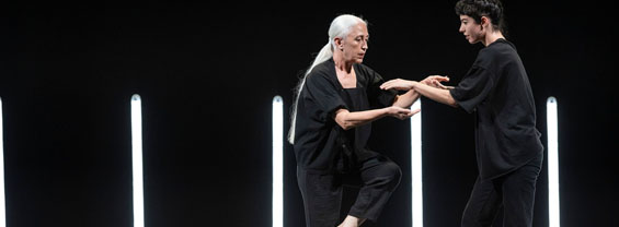 Timelessness Dances_Research immagine decorativa