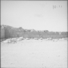 Palmyra walls