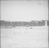 Palmyra walls